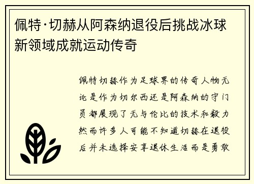 佩特·切赫从阿森纳退役后挑战冰球新领域成就运动传奇